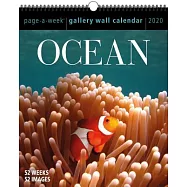 Ocean Page-a-week Gallery 2020 Calendar