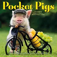 Pocket Pigs 2020 Calendar