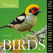 Audubon Birds Color 2020 Calendar
