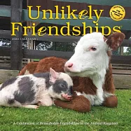 Unlikely Friendships 2020 Calendar