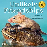 Unlikely Friendships 2020 Calendar