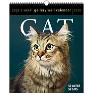 Cat Page-a-week Gallery 2020 Calendar
