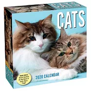 Cats 2020 Calendar