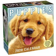 Puppies 2020 Calendar