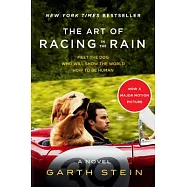 The Art of Racing in the Rain