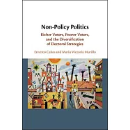 Non-Policy Politics: Richer Voters, Poorer Voters, and the Diversification of Electoral Strategies