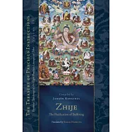 Zhije: The Pacification of Suffering: Essential Teachings of the Eight Practice Lineages of Tibet, Volume 13