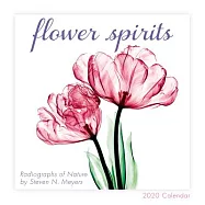 2020 Flower Spirits Radiographs of Nature by Steven N. Meyers Mini Calendar: By Sellers Publishing