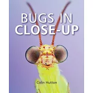 Bugs in Close-up