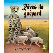 Rêves De Guépard / Cheetah Dreams
