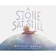 A Stone SAT Still: (environmental and Nature Picture Book for Kids, Perspective Book for Preschool and Kindergarten, Award Winning Illust