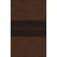 Nrsv, Thinline Bible, Leathersoft, Brown, Comfort Print
