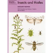 Insects and Thistles