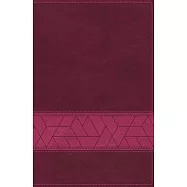 Niv, Storyline Bible, Leathersoft, Pink, Indexed, Comfort Print: Each Story Plays a Part. See How They All Connect.