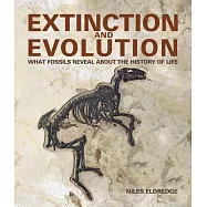 Extinction and Evolution: What Fossils Reveal about the History of Life