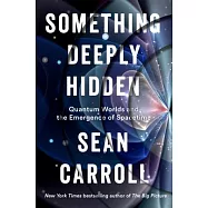 Something Deeply Hidden: Quantum Worlds and the Emergence of Spacetime