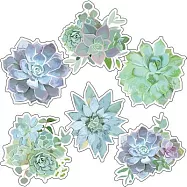 Succulents Cut-outs