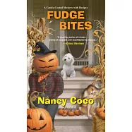 Fudge Bites