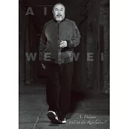 AI Weiwei