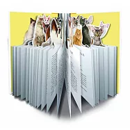 Paperscapes: The Cat