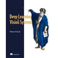 Deep Learning for Vision Systems