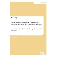 OLAP (Online Analytical Processing) - Implementierung des Analysewerkzeugs: Instant OLAP f&uuml;r die individuelle