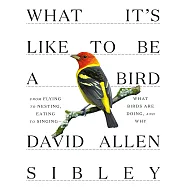 What Its Like to Be a Bird: From Flying to Nesting, Eating to Singing--What Birds Are Doing, and Why