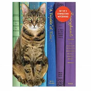 Queen of the Stacks Connecting Notebook Set