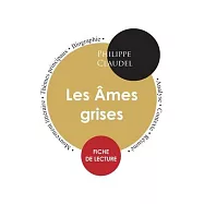 Fiche de lecture Les Âmes grises (Étude intégrale)