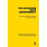 The Exchange Rate Environment