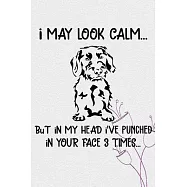 I May Look Calm But In My Head I&rsquo;&rsquo;ve Punched In Your Face 3 Times: Wirehaired Pointing Griffon Puppy Dog 2020 2021