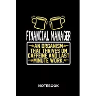Financial Manager - Notebook: Lined notebook for financial managers to track all informations of daily work life for