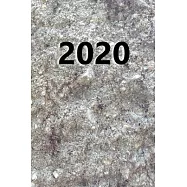 2020 Daily Planner 2020 Carved Stone Image Style 384 Pages: 2020 Planners Calendars Organizers Datebooks Appointment