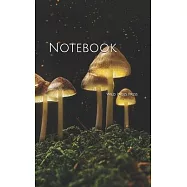 Notebook: Fantasy Forest Mushrooms Light Surreal Magic