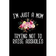 I&rsquo;&rsquo;m Just a Mom Trying Not to Raise Assholes: 6x9 Lined Composition Notebook Mom Gift for Mother&rsquo;&rsquo;s Day