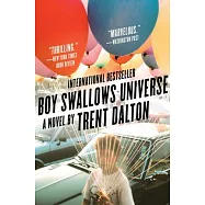 Boy Swallows Universe