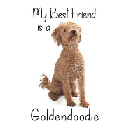 My best Friend is a Goldendoodle: 8" x 5" Blank lined Journal Notebook 120 College Ruled Pages - Golden Retriever