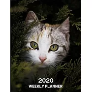 2020 Weekly Planner: Gray Cat 52 Week Journal 8.5 x 11 inches for Women, Academic Organizer Monthly Calendar Scheduler