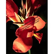 Gratitude Journal: 365 days of appreciation gratitude to make your life happier and more beautiful