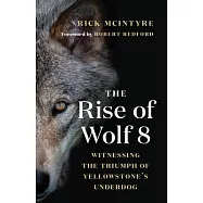 The Rise of Wolf 8: Witnessing the Triumph of Yellowstone&rsquo;&rsquo;s Underdog