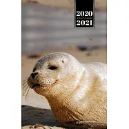 Seal Manatee Sea Lion Cow Walrus Dugong Week Planner Weekly Organizer Calendar 2020 / 2021 - Tired on Beach: Cute