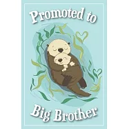 Promoted to Big Brother Journal - Big Brother Gifts: A draw & write journal for a new big brother is the perfect place