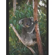 Atlas of World Mammals: An introduction to mammal&rsquo;&rsquo;s kingdom