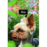 Yorkshire Terrier Dog Pup Puppy Doggie Notebook Bullet Journal Diary Composition Book Notepad - Explore The Garden