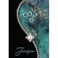 Daily Planner Juniper: 2020 Day Per Page Planner Personalized Name