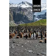 Penguin Puffin Antarctica Seabird Week Planner Weekly Organizer Calendar 2020 / 2021 - Meeting at the Mountains: Cute