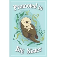 Promoted to Big Sister Journal - Big Sister Gifts: A draw and write journal for a new big sister is the perfect place