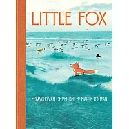 Little Fox