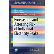 Forecasting and Assessing Risk of Individual Electricity Peaks