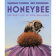 Honeybee: The Busy Life of APIs Mellifera